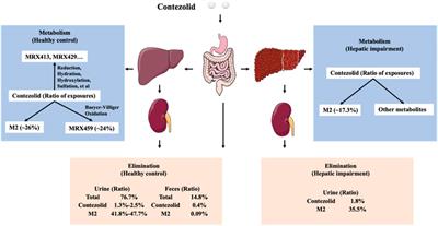 Dose adjustment not required for contezolid in patients with moderate hepatic impairment based on pharmacokinetic/pharmacodynamic analysis